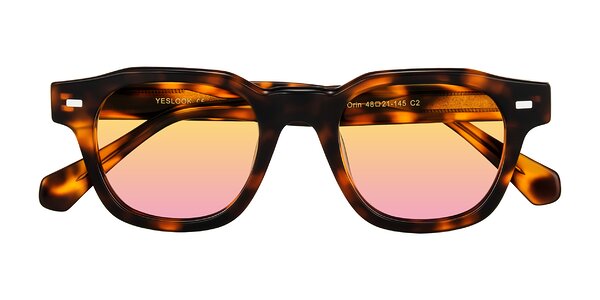 Front of Orin in Tortoise