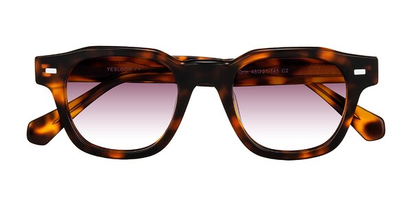 Front of Orin in Tortoise