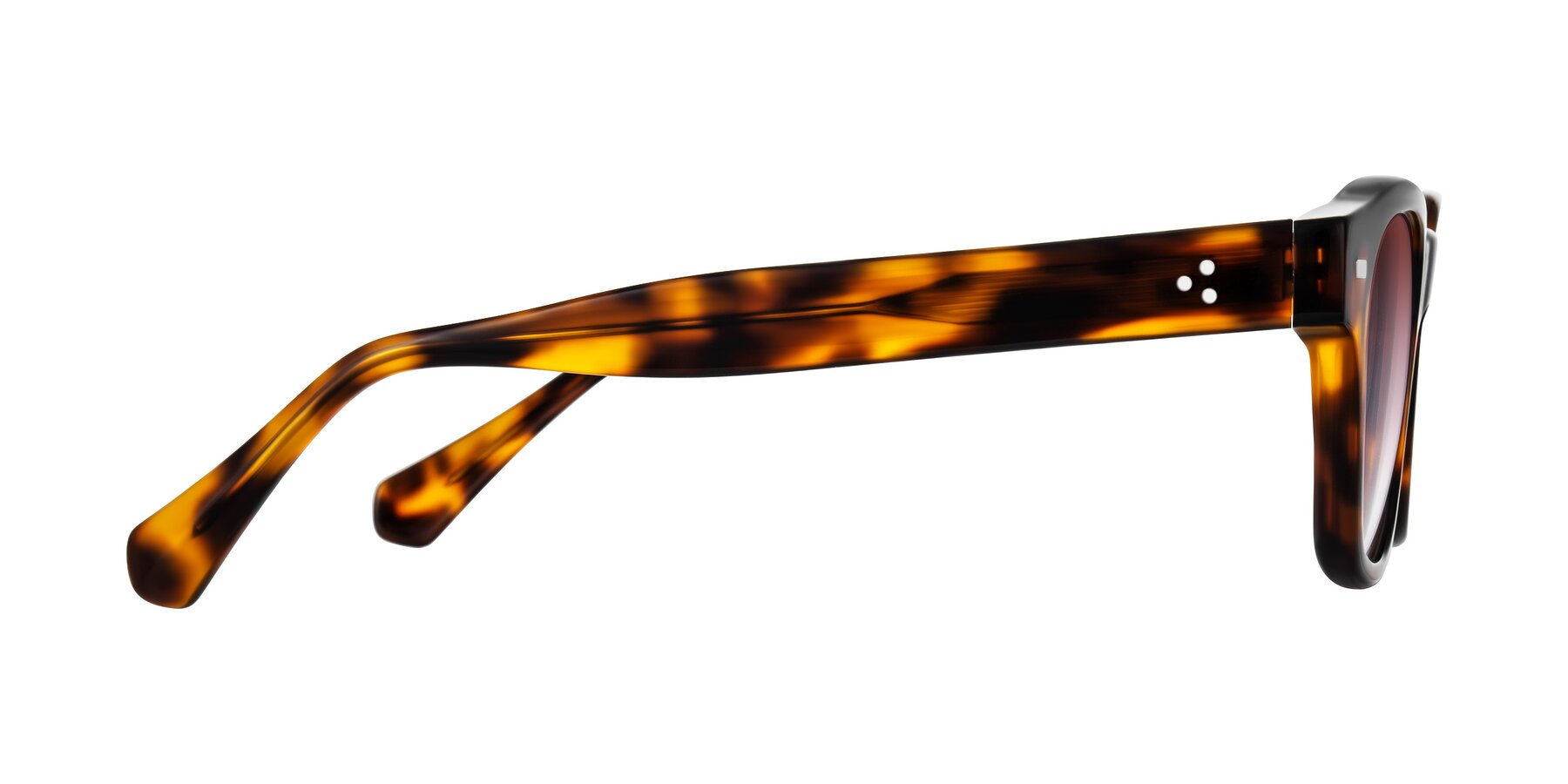 Side of Orin in Tortoise with Garnet Gradient Lenses