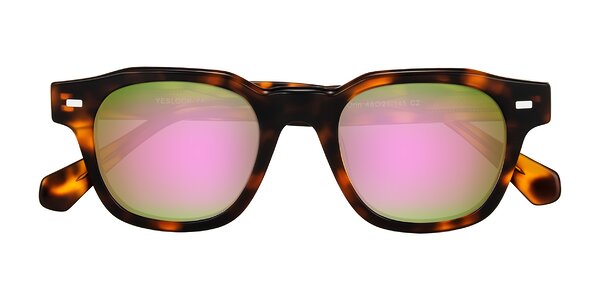 Front of Orin in Tortoise