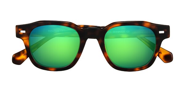 Front of Orin in Tortoise