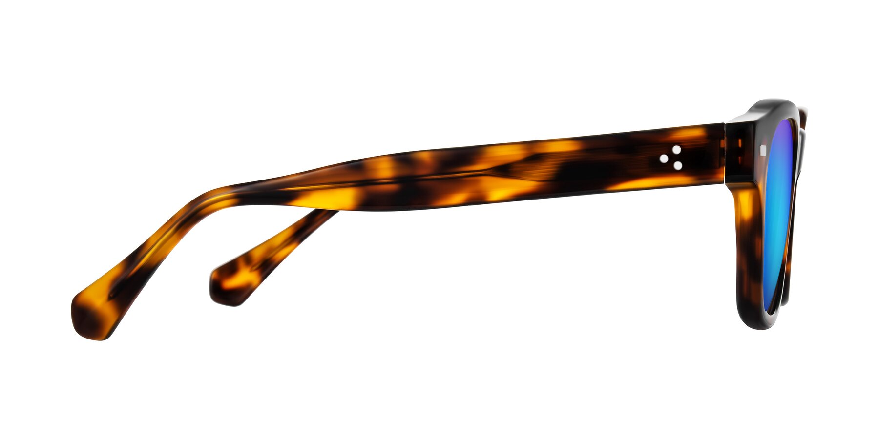 Side of Orin in Tortoise with Blue Mirrored Lenses