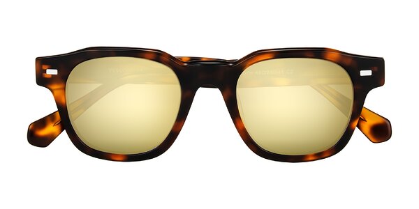 Front of Orin in Tortoise