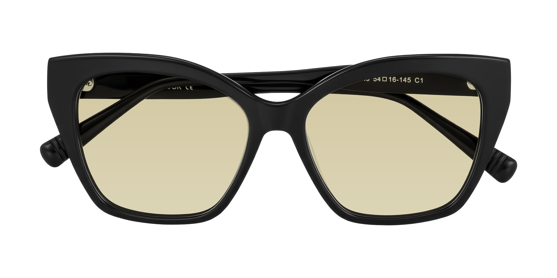 Folded Front of Landecho in Black with Light Champagne Tinted Lenses