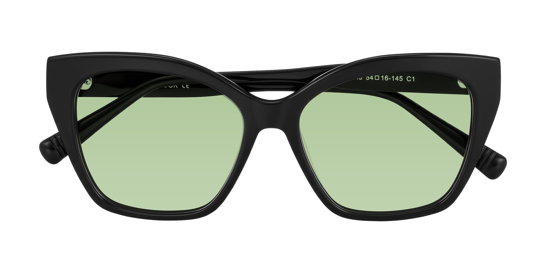 Folded Front of Landecho in Black with Medium Green Tinted Lenses