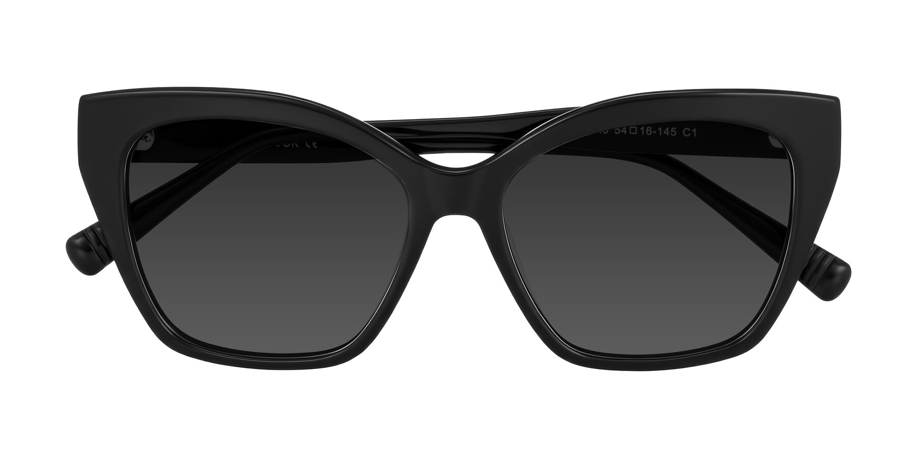 Folded Front of Landecho in Black with Gray Tinted Lenses