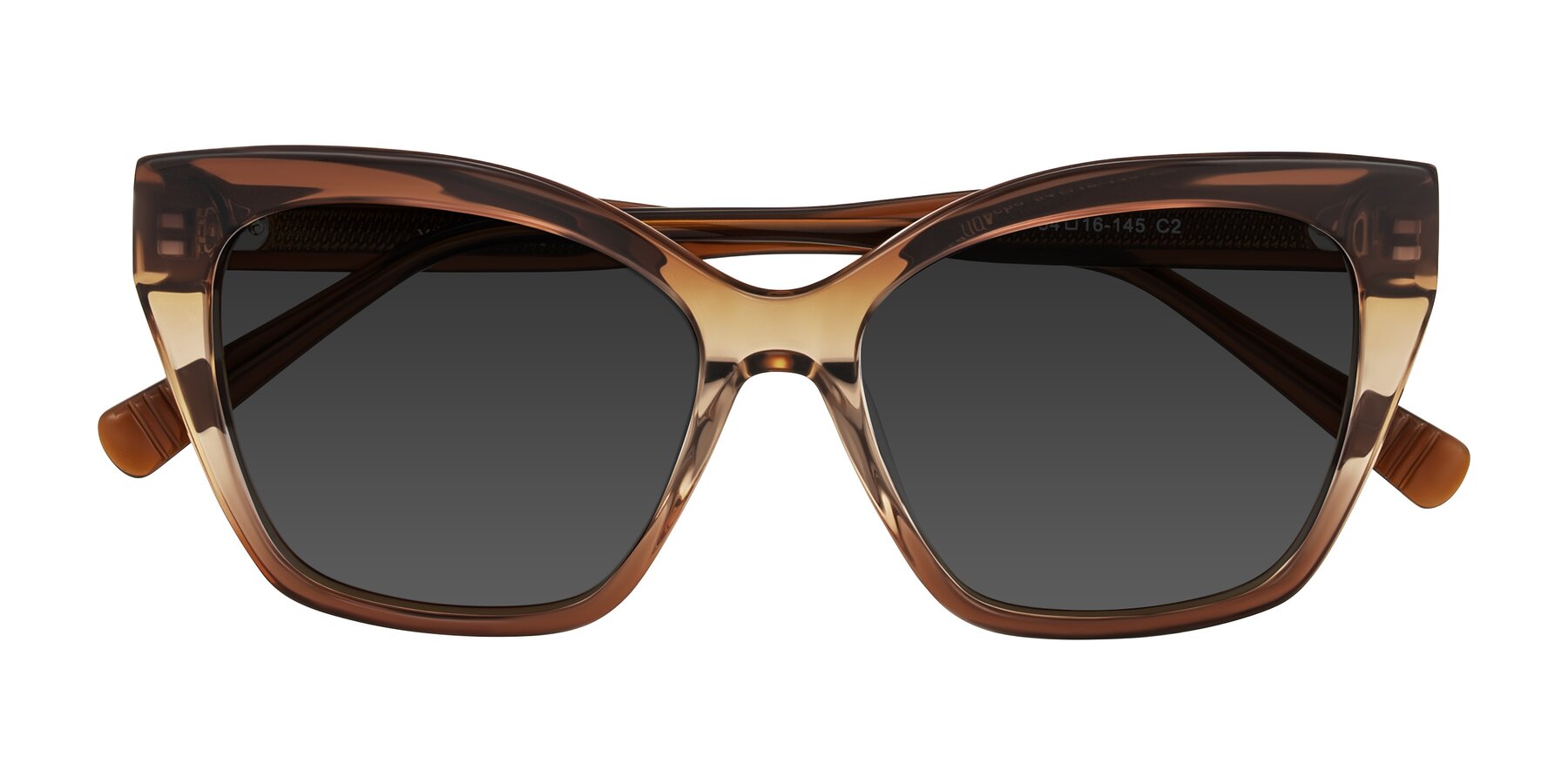 Folded Front of Landecho in Gradient Brown with Gray Tinted Lenses