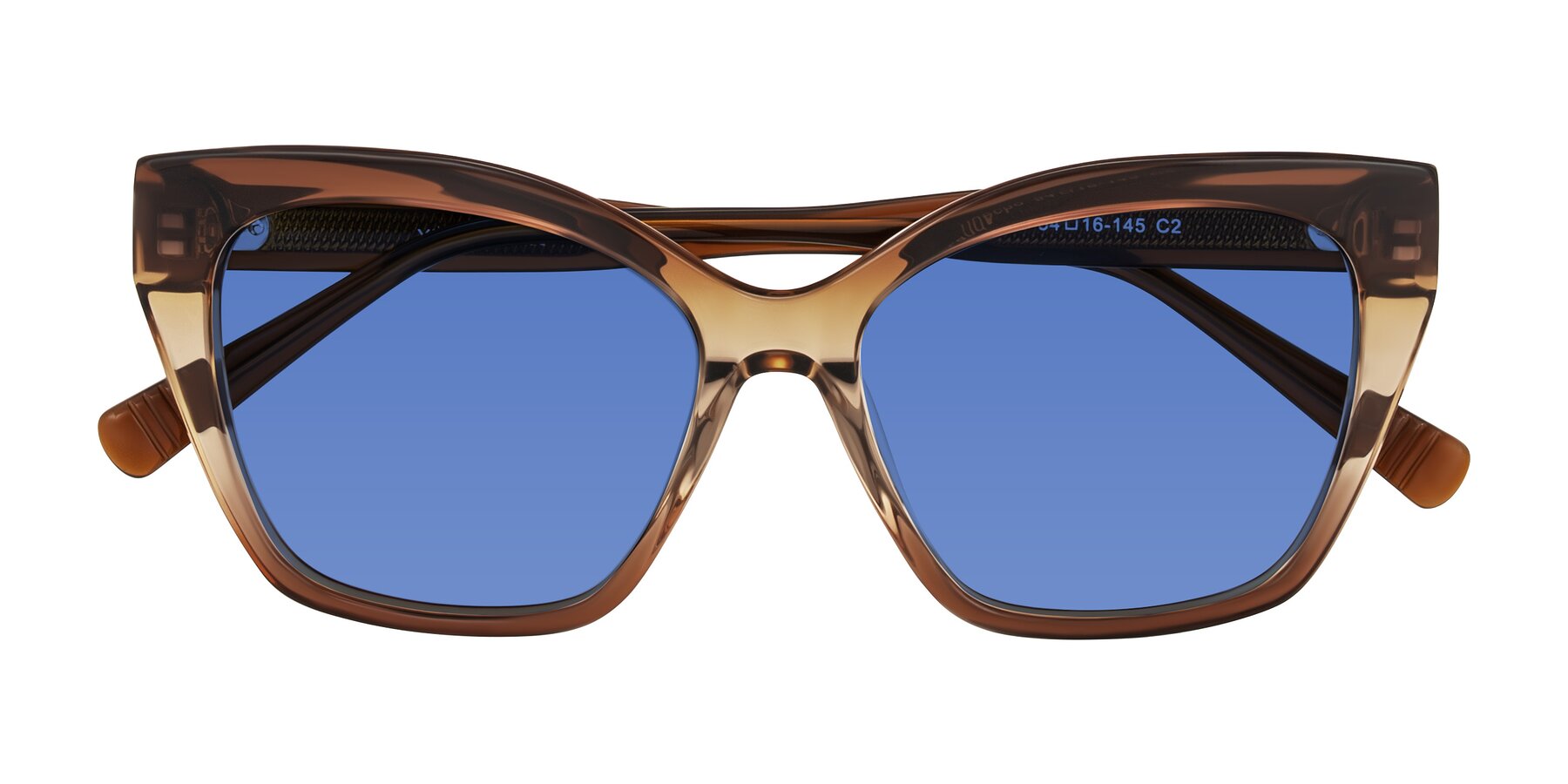 Folded Front of Landecho in Gradient Brown with Blue Tinted Lenses
