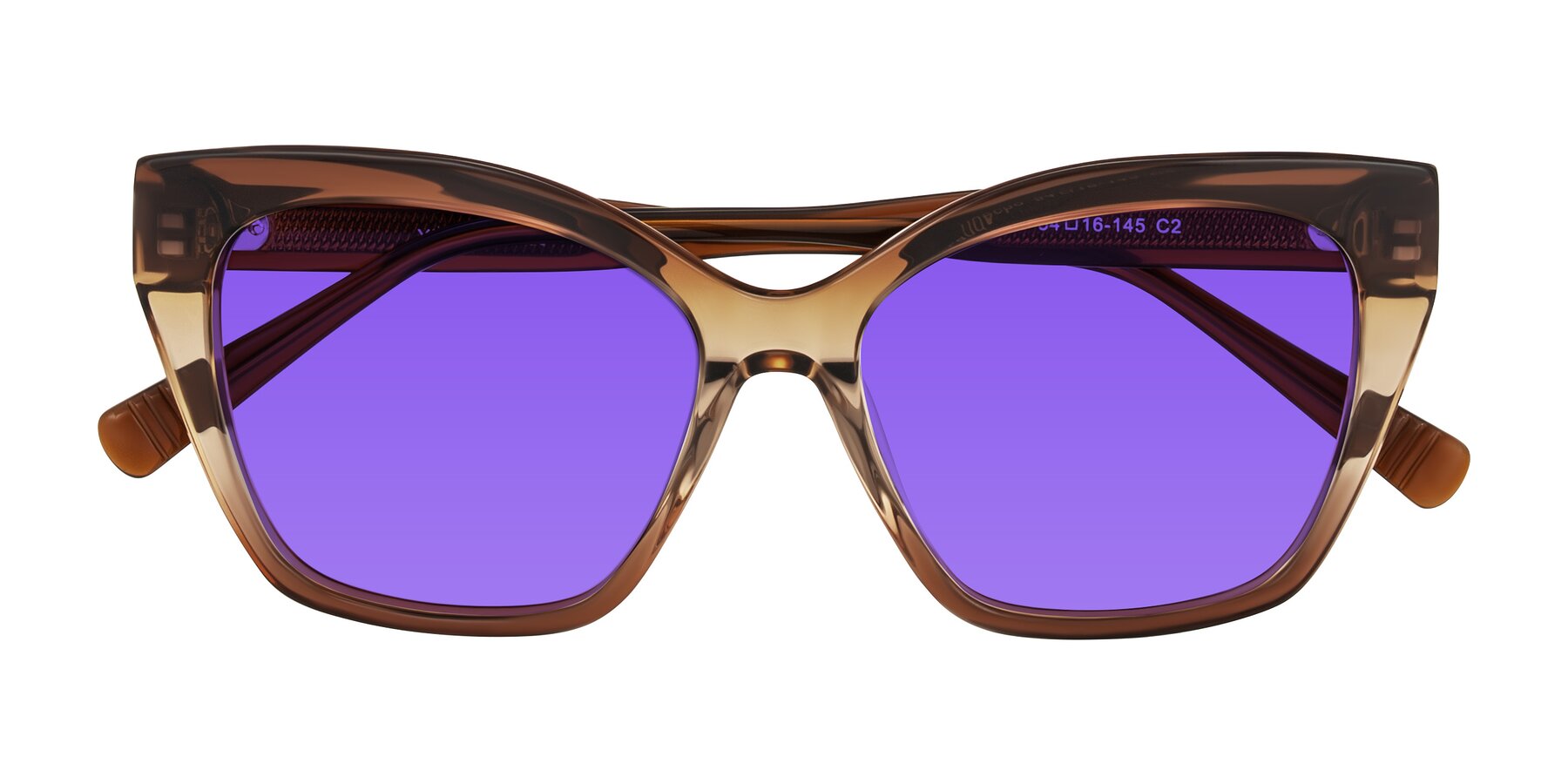 Folded Front of Landecho in Gradient Brown with Purple Tinted Lenses