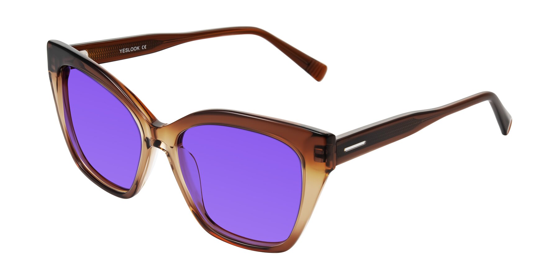 Angle of Landecho in Gradient Brown with Purple Tinted Lenses
