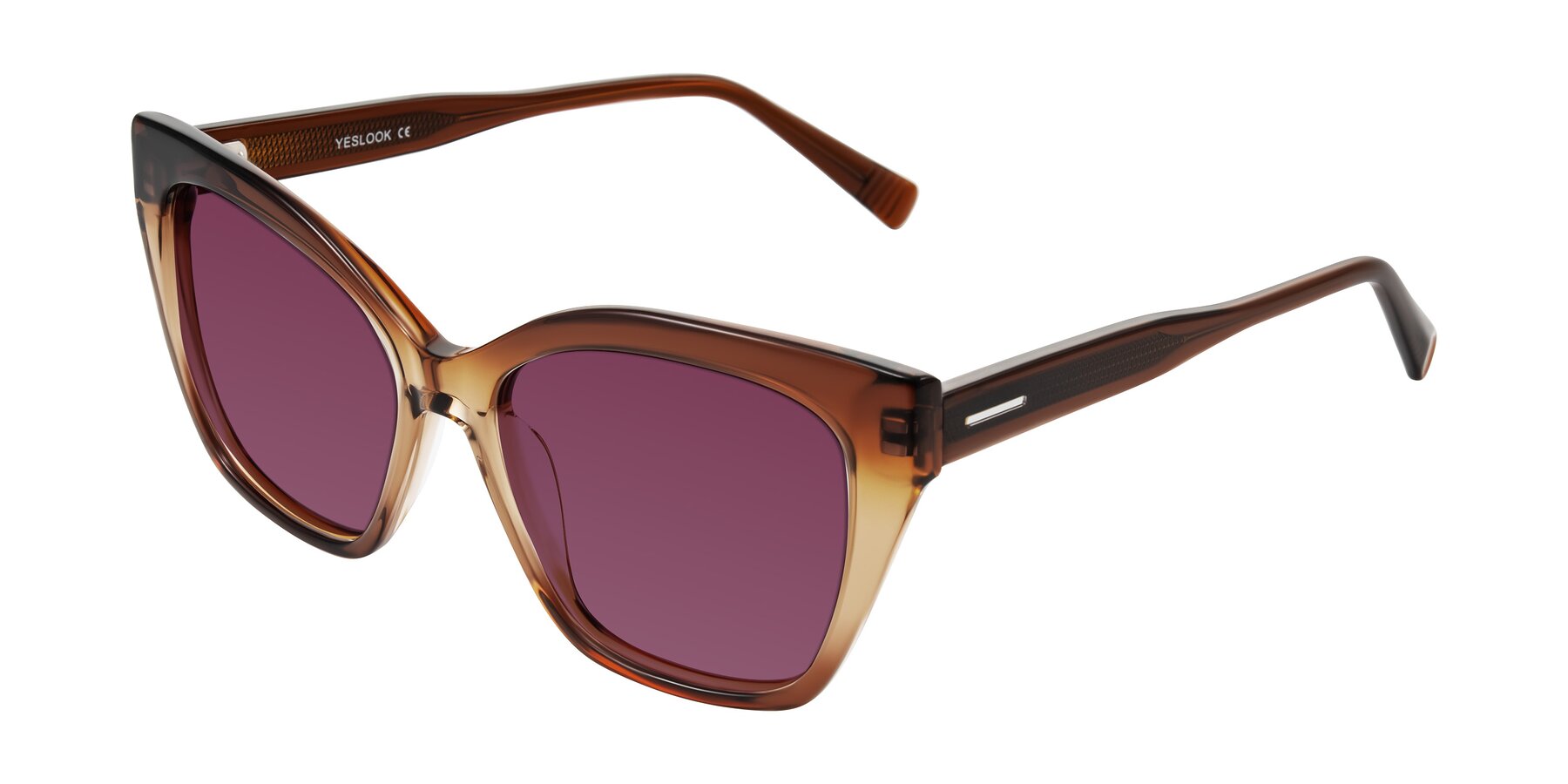 Angle of Landecho in Gradient Brown with Wine Tinted Lenses