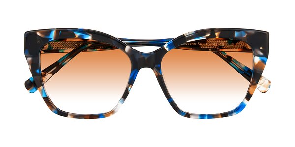 Front of Landecho in Blue Tortoise