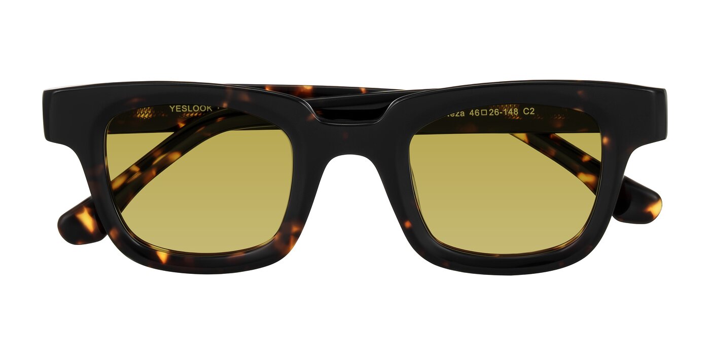 Neza - Tortoise Tinted Sunglasses