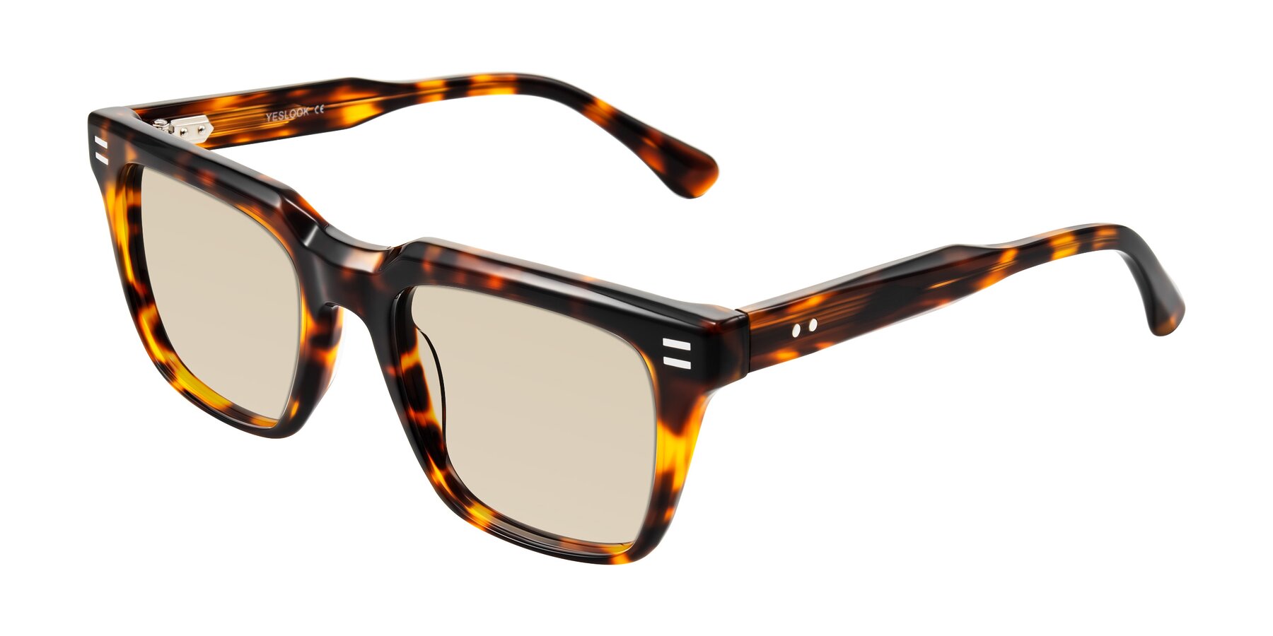 Angle of Bliss in Tortoise with Light Brown Tinted Lenses
