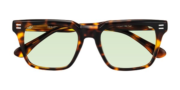 Front of Bliss in Tortoise