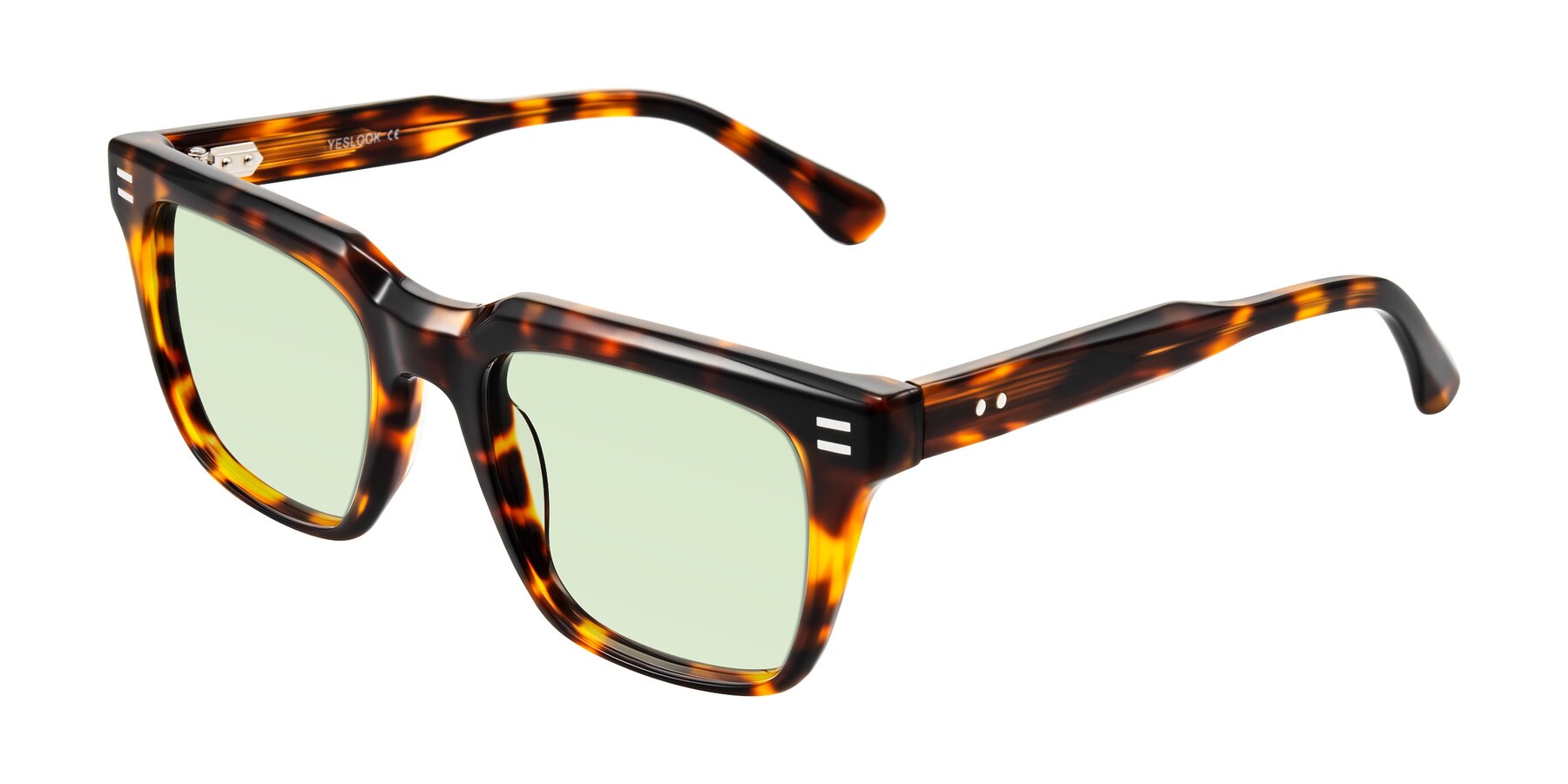 Angle of Bliss in Tortoise with Light Green Tinted Lenses