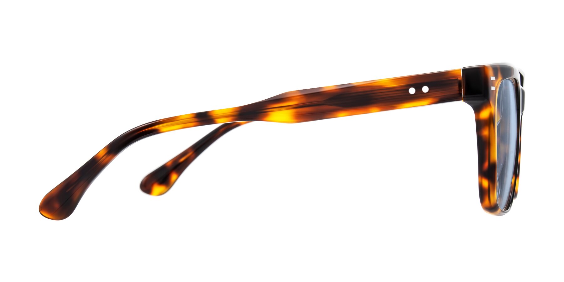 Side of Bliss in Tortoise with Light Blue Tinted Lenses