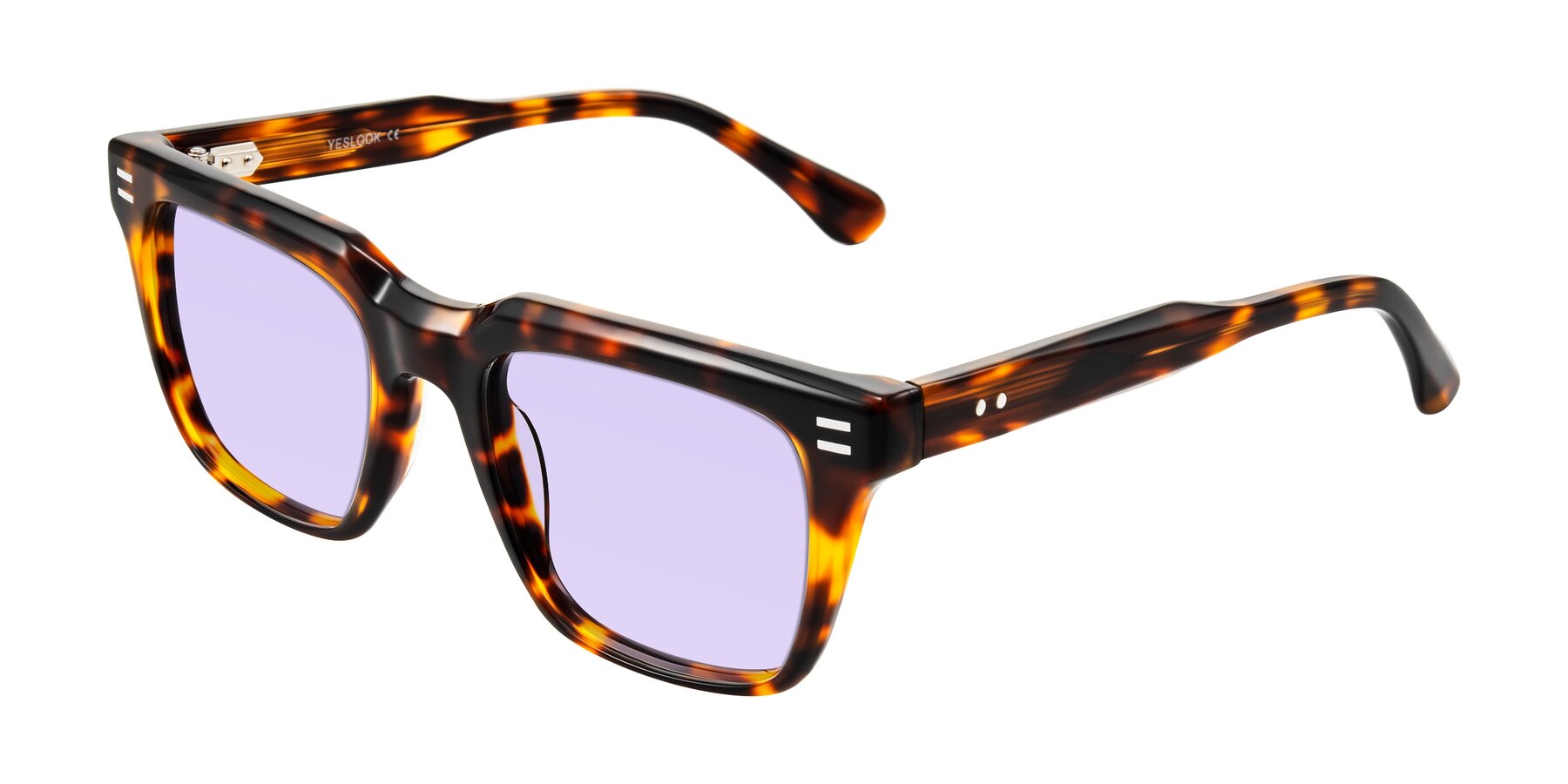 Angle of Bliss in Tortoise with Light Purple Tinted Lenses