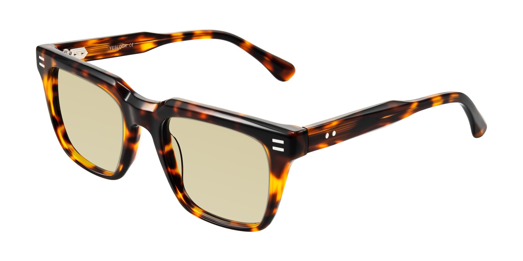 Angle of Bliss in Tortoise with Light Champagne Tinted Lenses