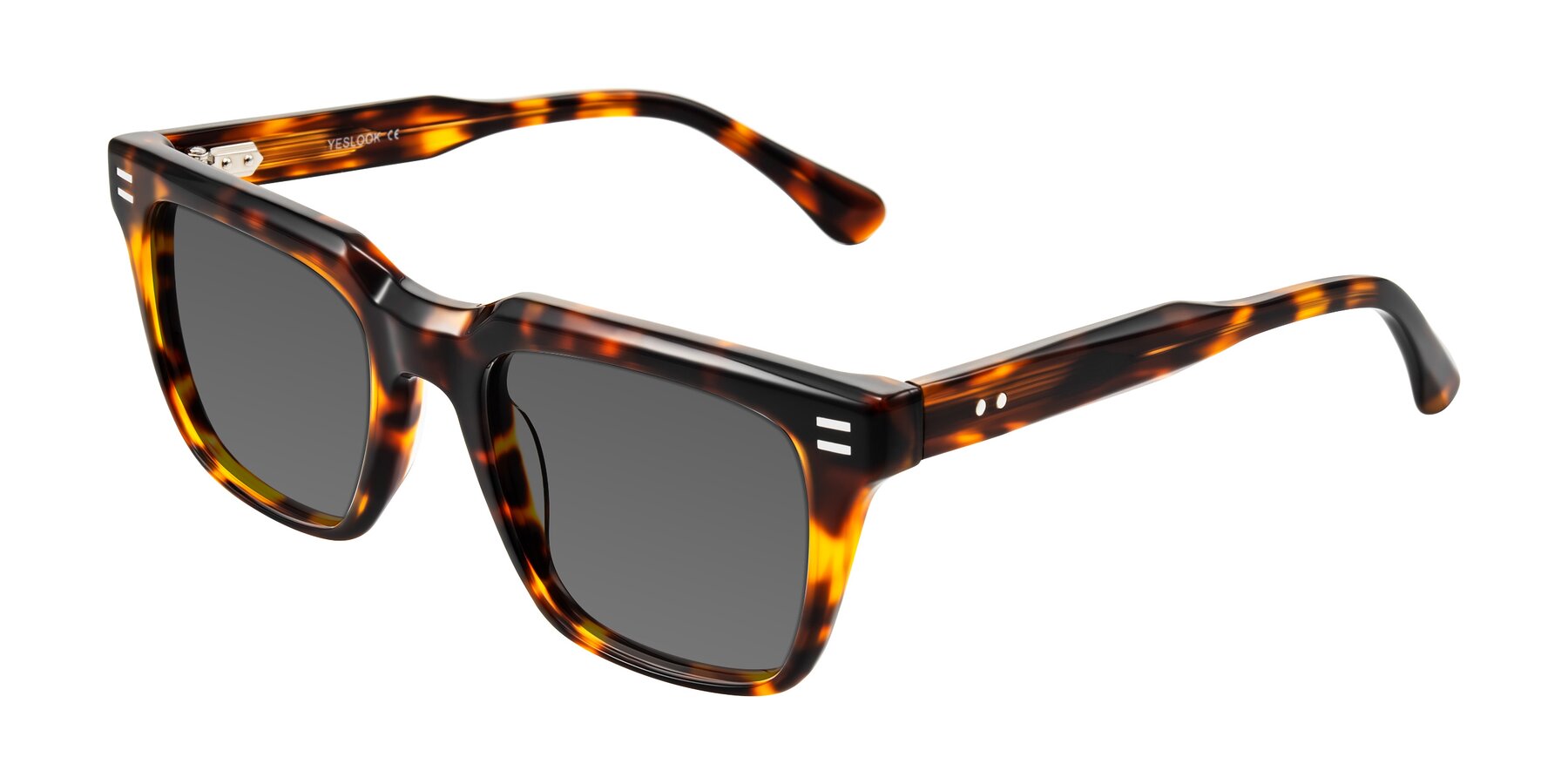 Angle of Bliss in Tortoise with Medium Gray Tinted Lenses