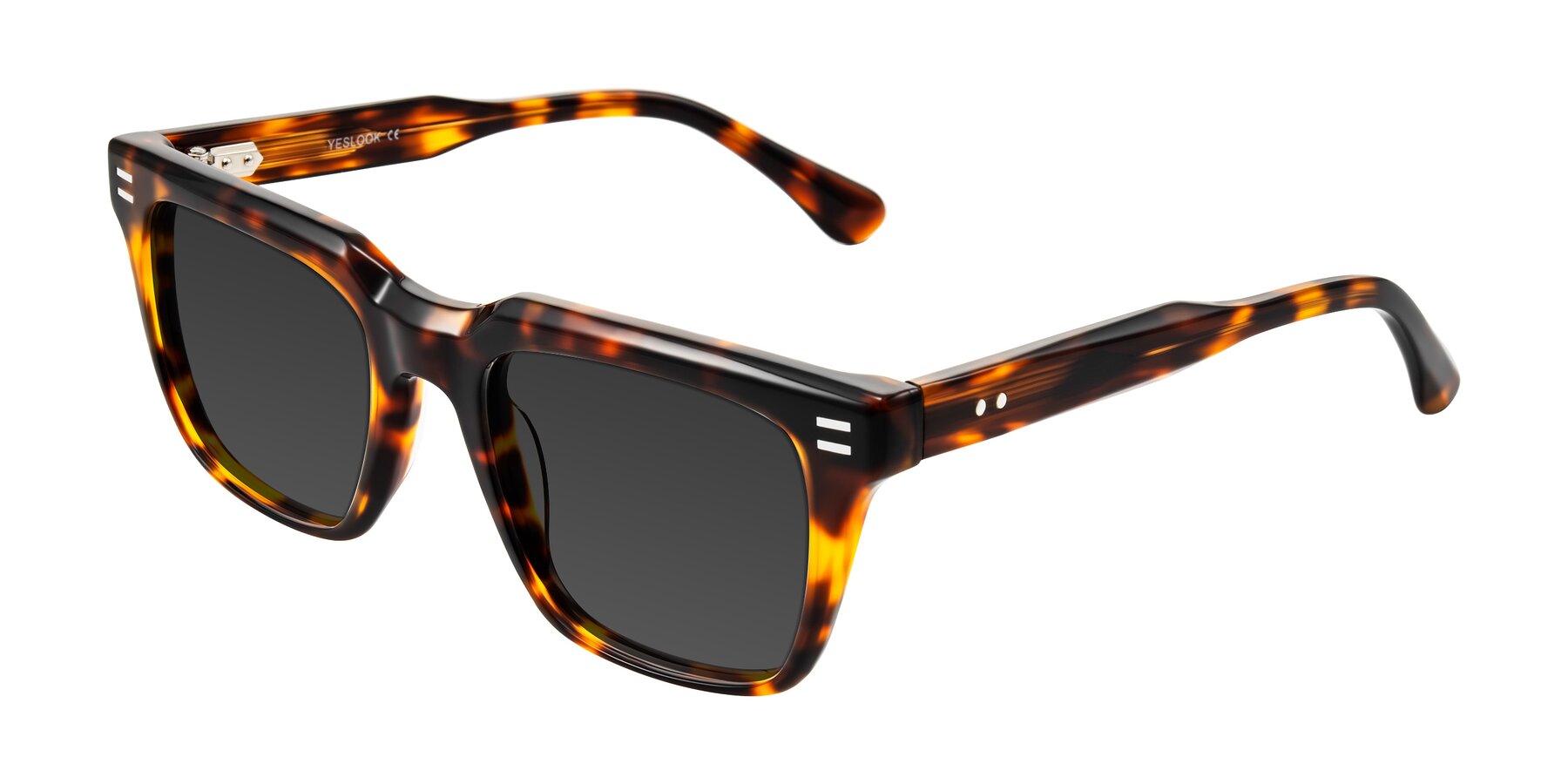 Angle of Bliss in Tortoise with Gray Tinted Lenses