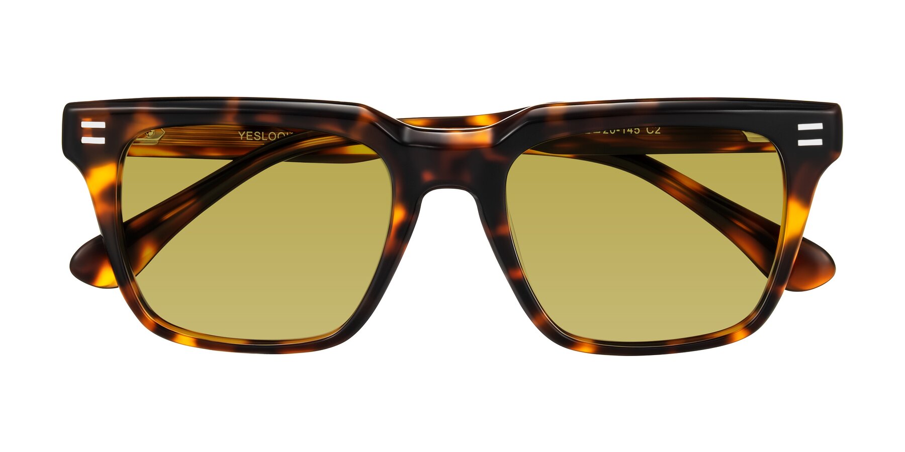 Folded Front of Bliss in Tortoise with Champagne Tinted Lenses