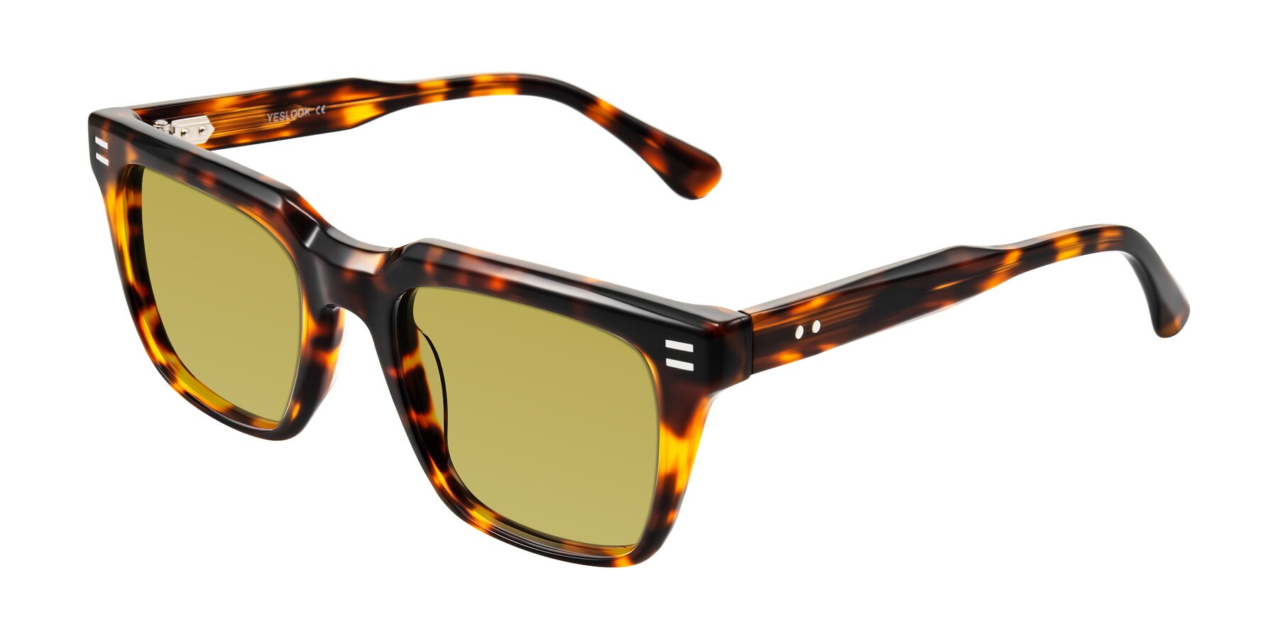 Angle of Bliss in Tortoise with Champagne Tinted Lenses