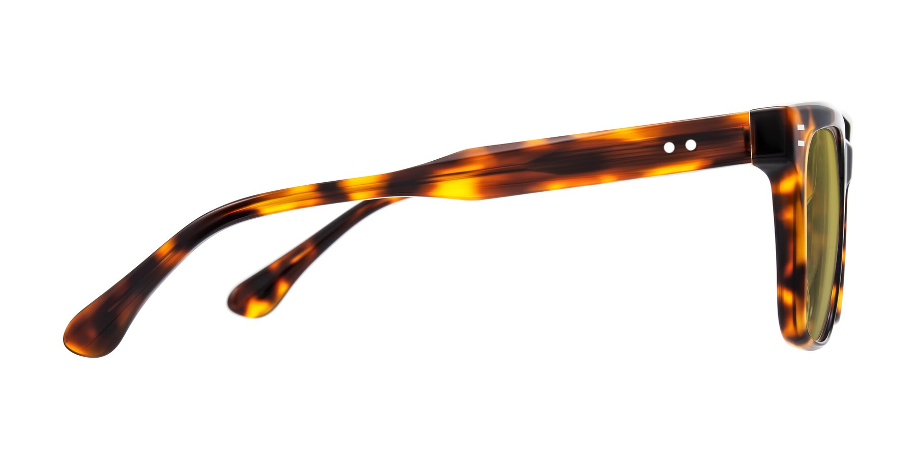 Side of Bliss in Tortoise with Champagne Tinted Lenses