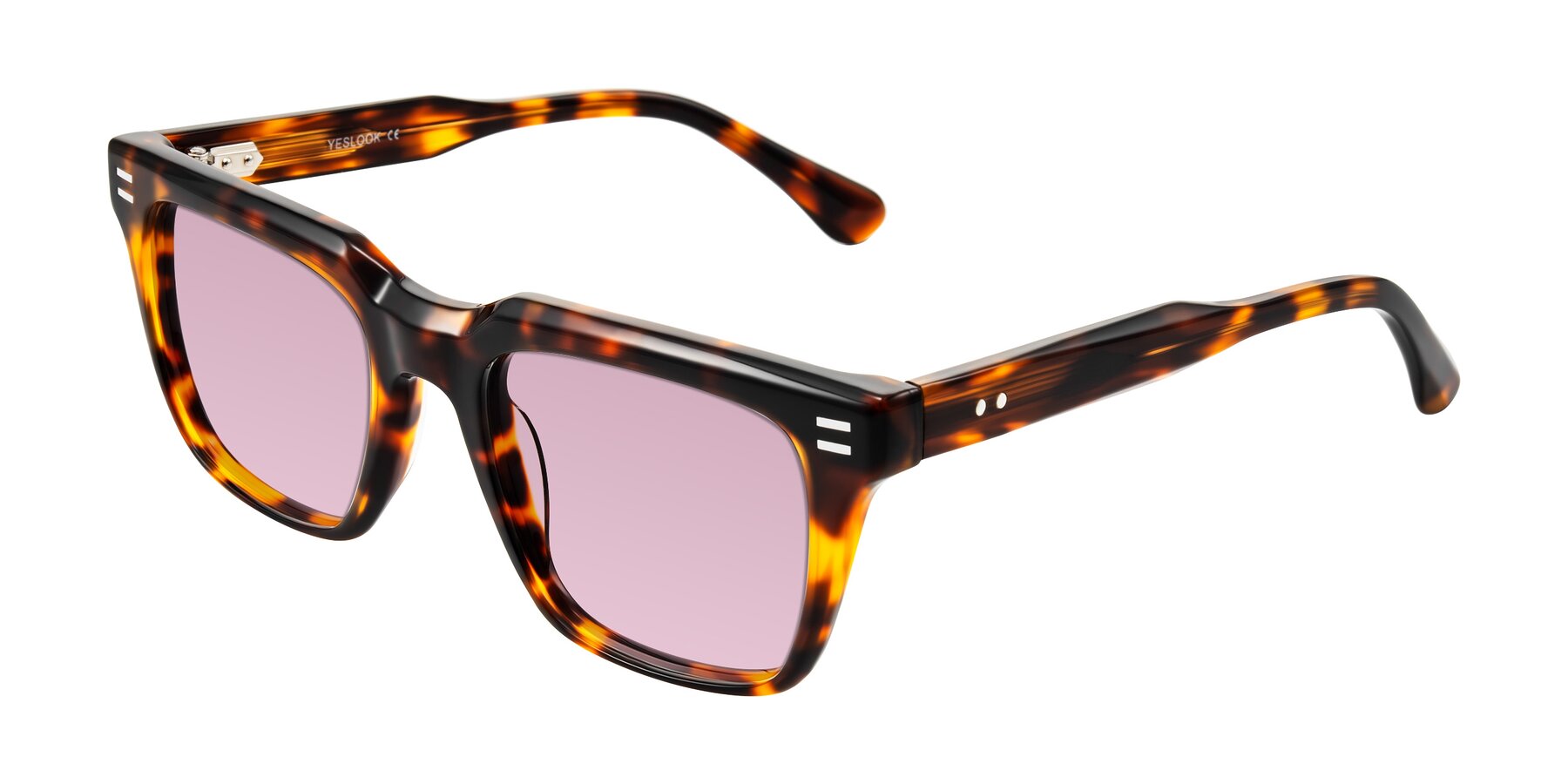 Angle of Bliss in Tortoise with Light Wine Tinted Lenses