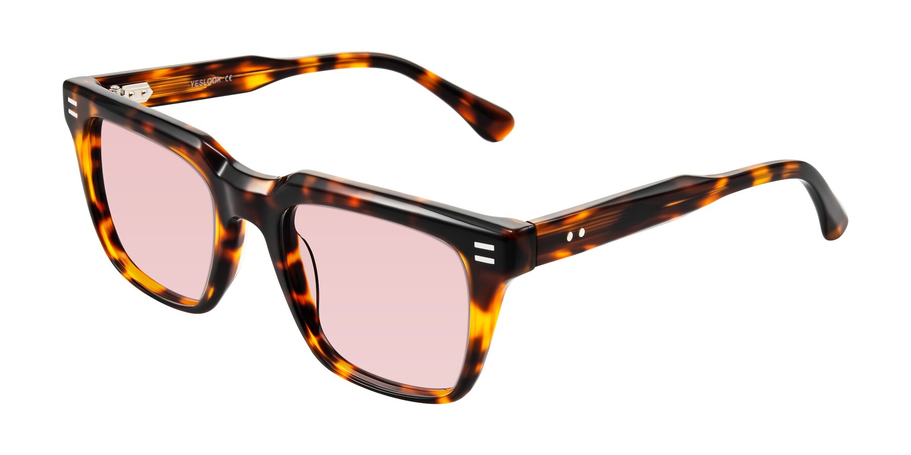 Angle of Bliss in Tortoise with Light Garnet Tinted Lenses