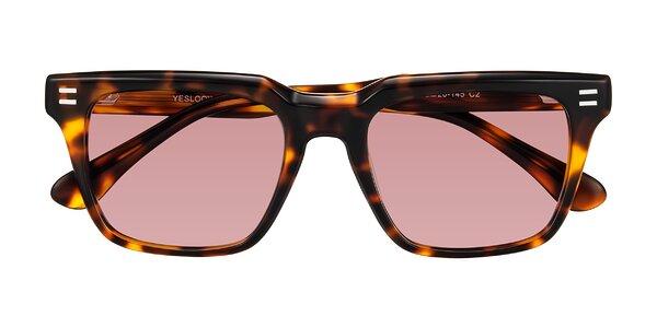 Front of Bliss in Tortoise