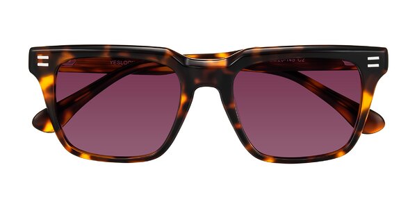 Front of Bliss in Tortoise