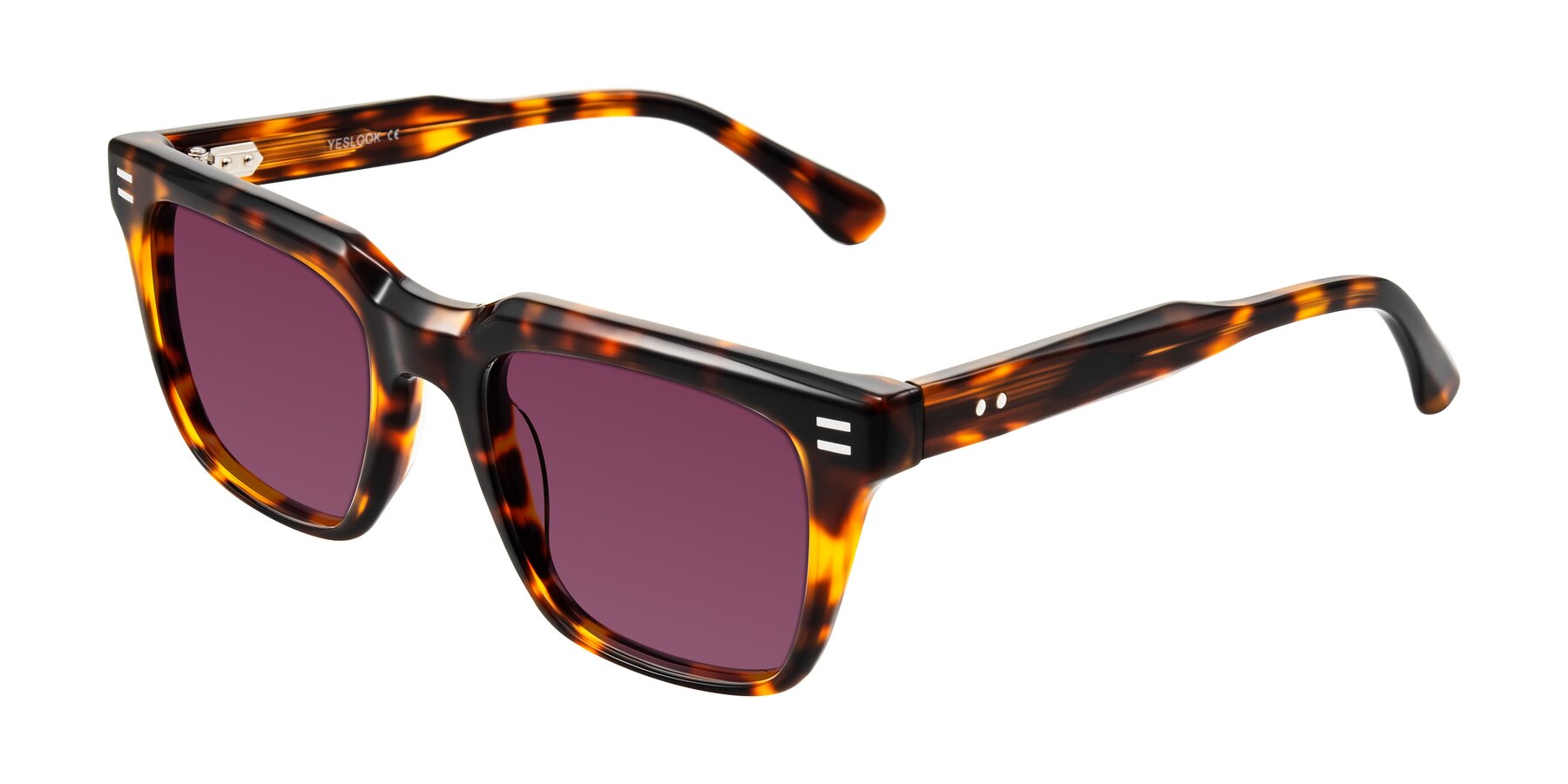 Angle of Bliss in Tortoise with Wine Tinted Lenses