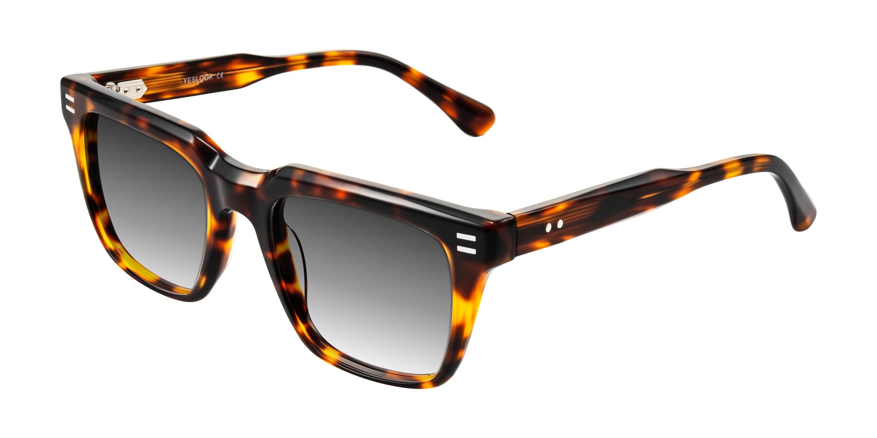 Angle of Bliss in Tortoise with Gray Gradient Lenses