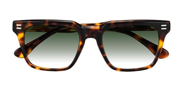 Front of Bliss in Tortoise