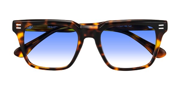 Front of Bliss in Tortoise