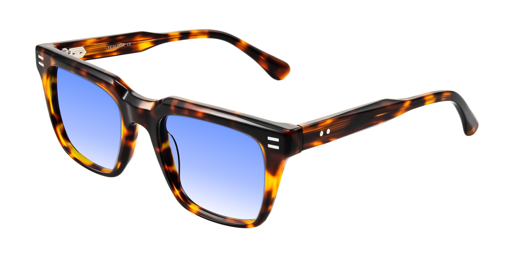 Angle of Bliss in Tortoise with Blue Gradient Lenses