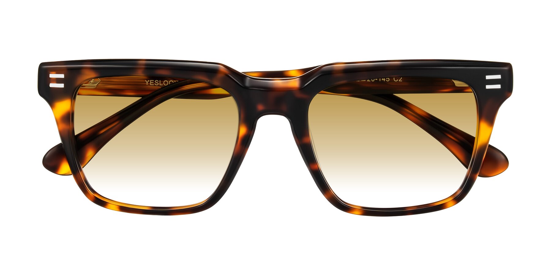 Folded Front of Bliss in Tortoise with Champagne Gradient Lenses
