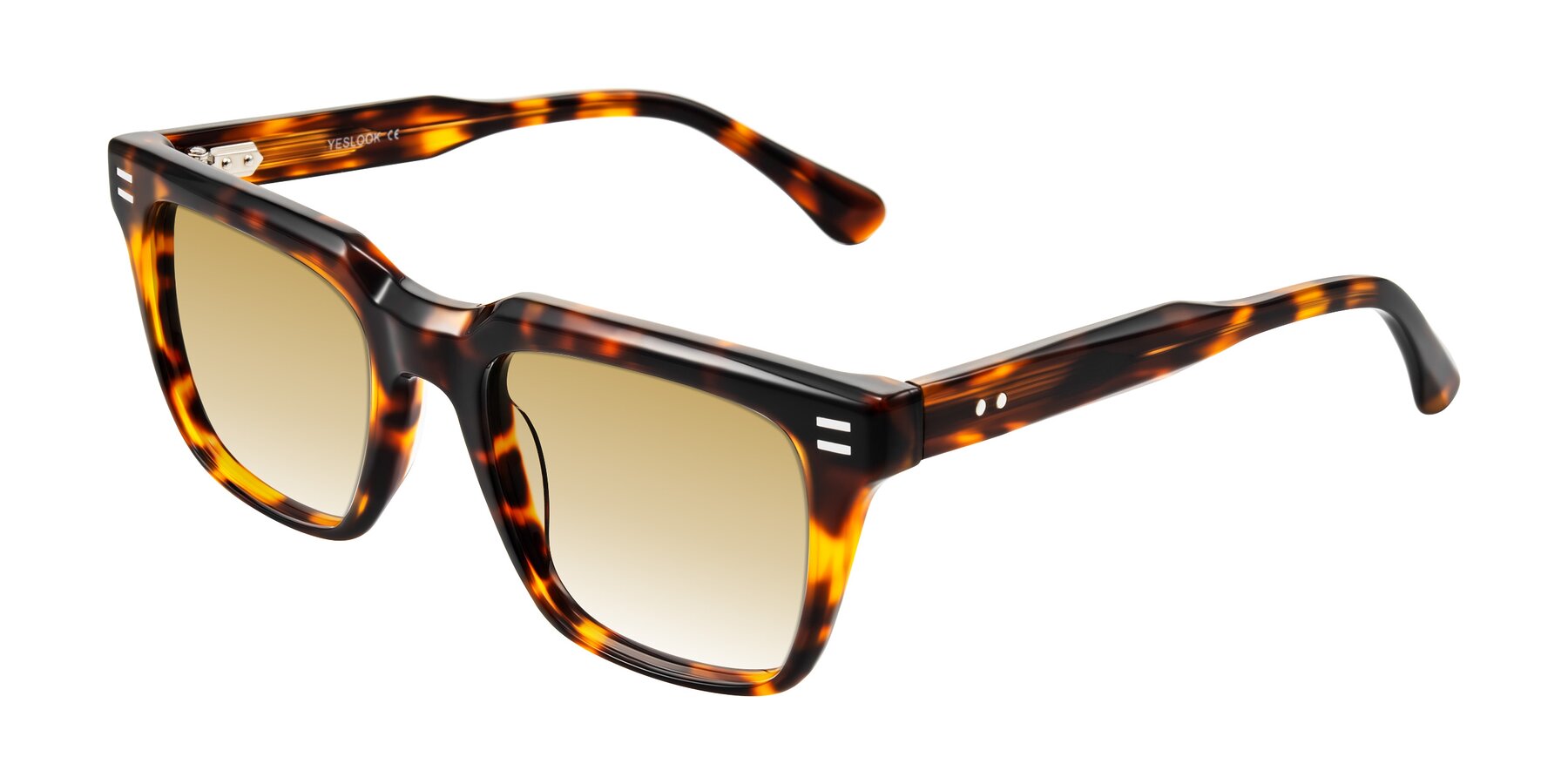 Angle of Bliss in Tortoise with Champagne Gradient Lenses