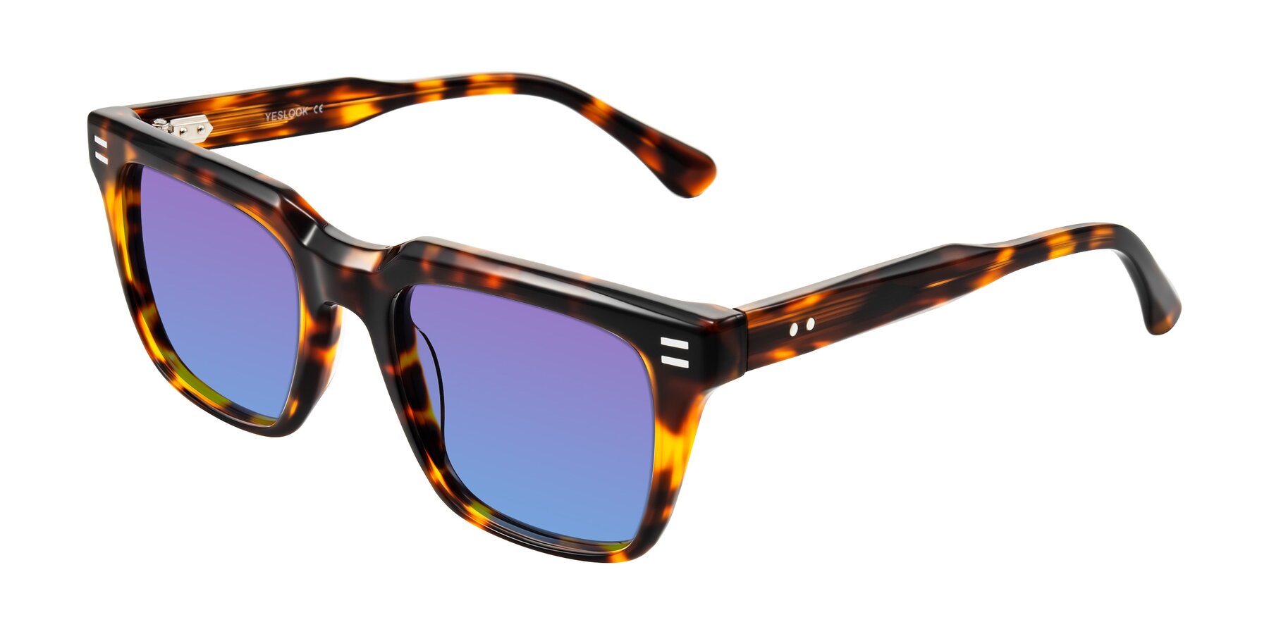 Angle of Bliss in Tortoise with Purple / Blue Gradient Lenses