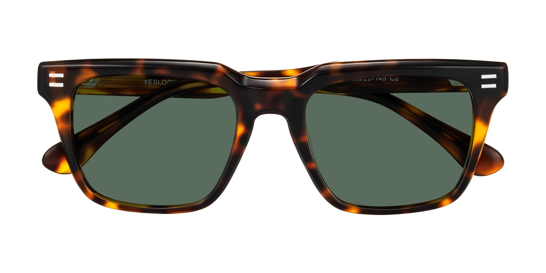 Folded Front of Bliss in Tortoise with Green Polarized Lenses