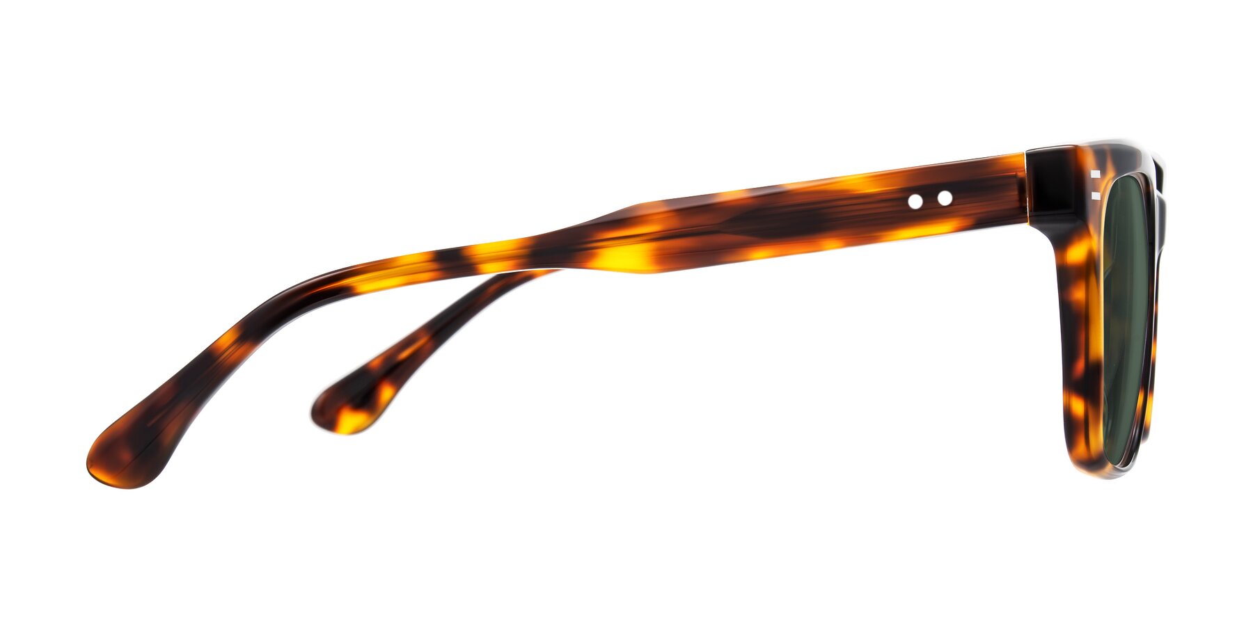 Side of Bliss in Tortoise with Green Polarized Lenses
