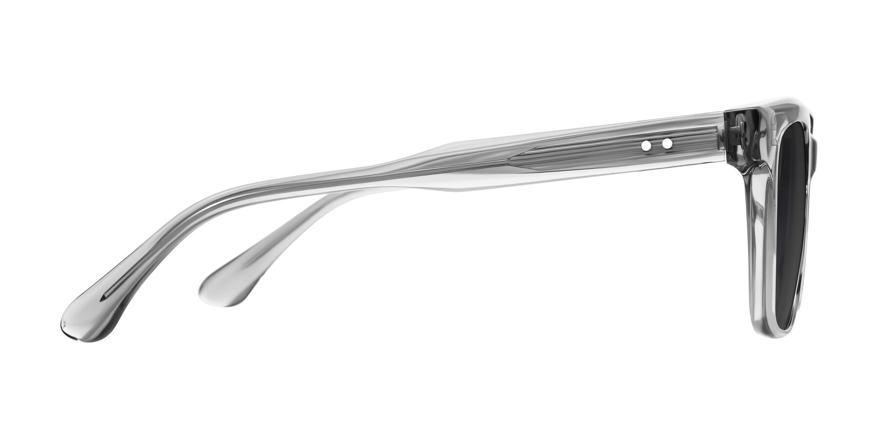 Side of Bliss in Transparent Gray with Gray Tinted Lenses