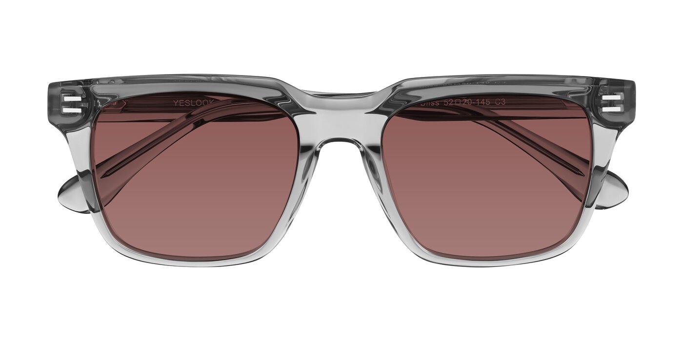 Bliss - Transparent Gray Tinted Sunglasses