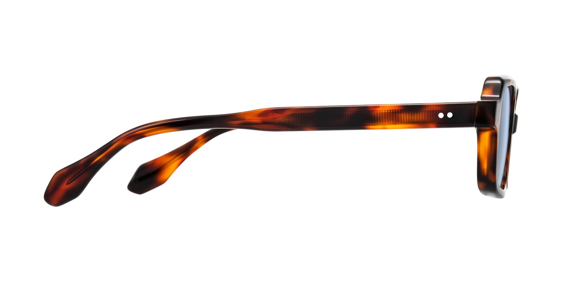 Side of Perkis in Tortoise with Light Blue Tinted Lenses