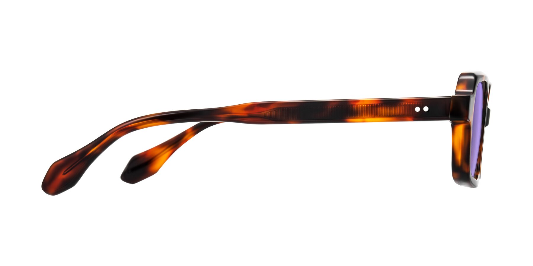 Side of Perkis in Tortoise with Medium Purple Tinted Lenses