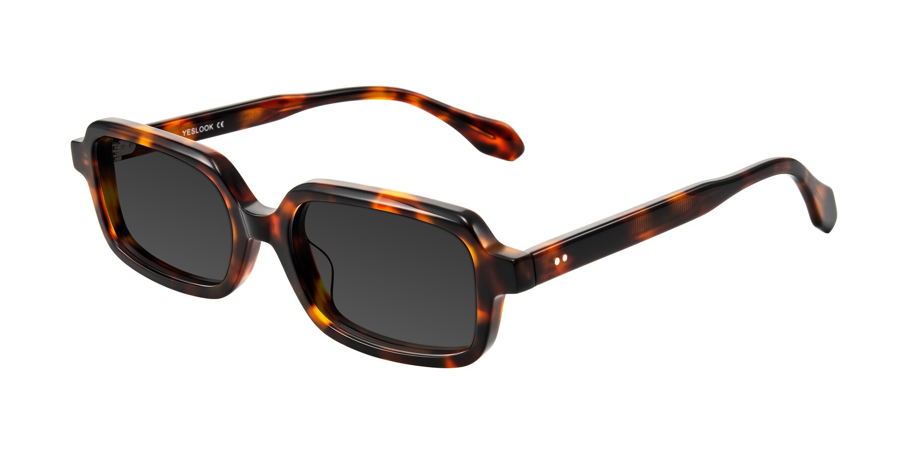 Angle of Perkis in Tortoise with Gray Tinted Lenses