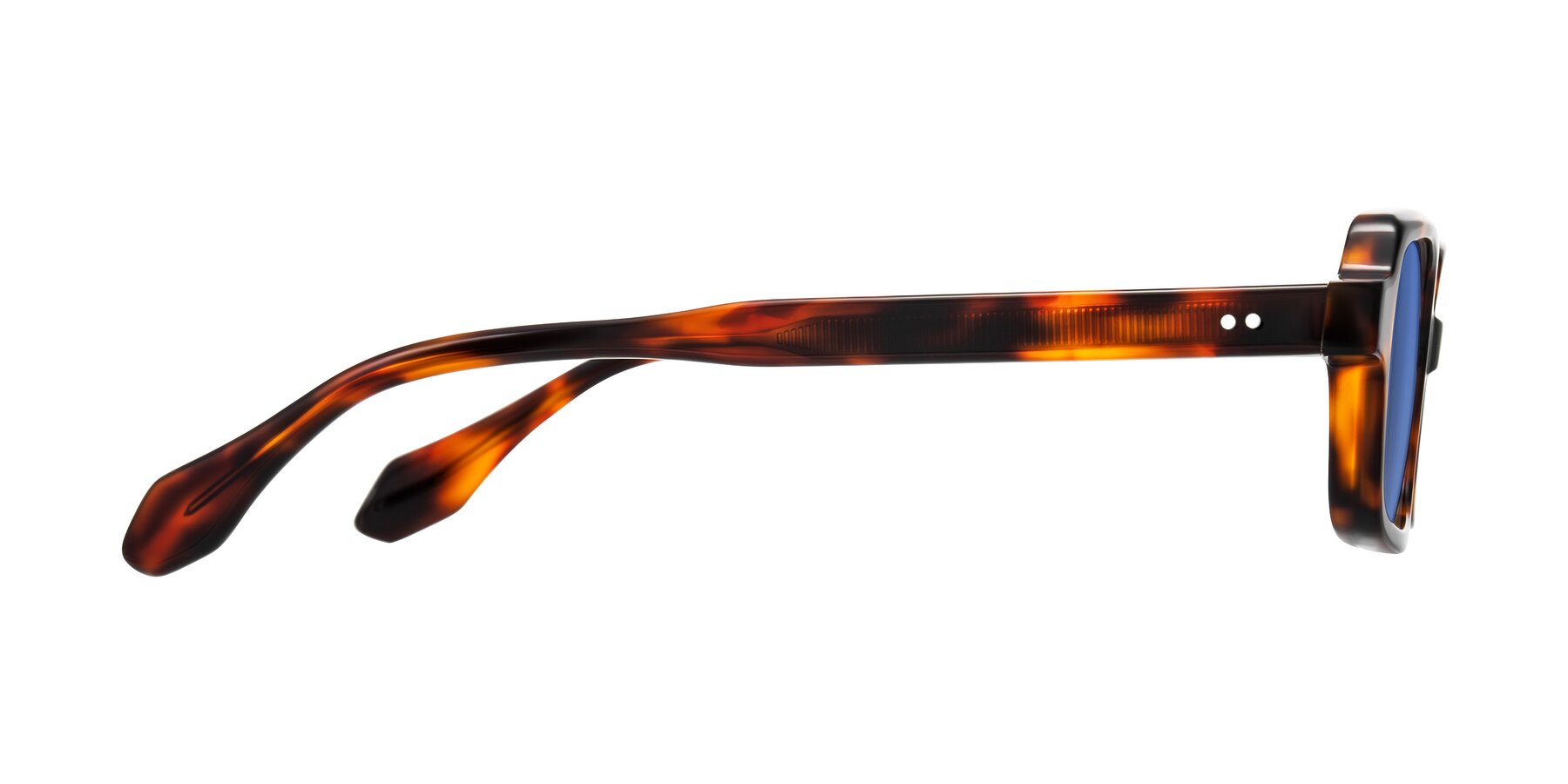 Side of Perkis in Tortoise with Blue Tinted Lenses