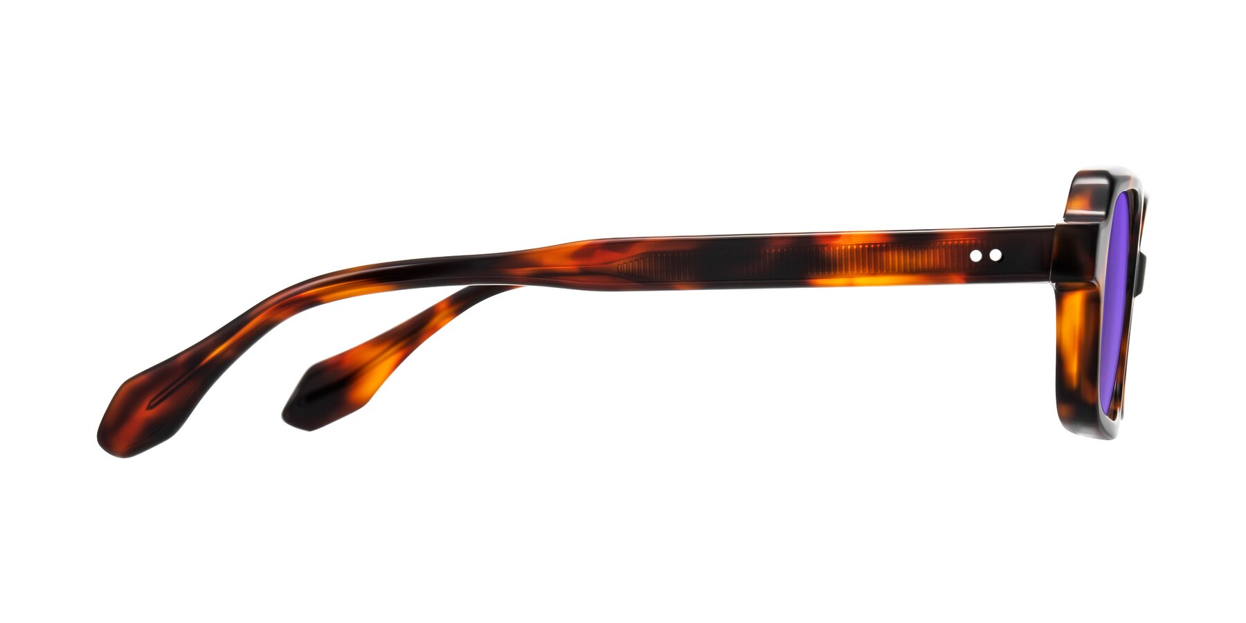Side of Perkis in Tortoise with Purple Tinted Lenses