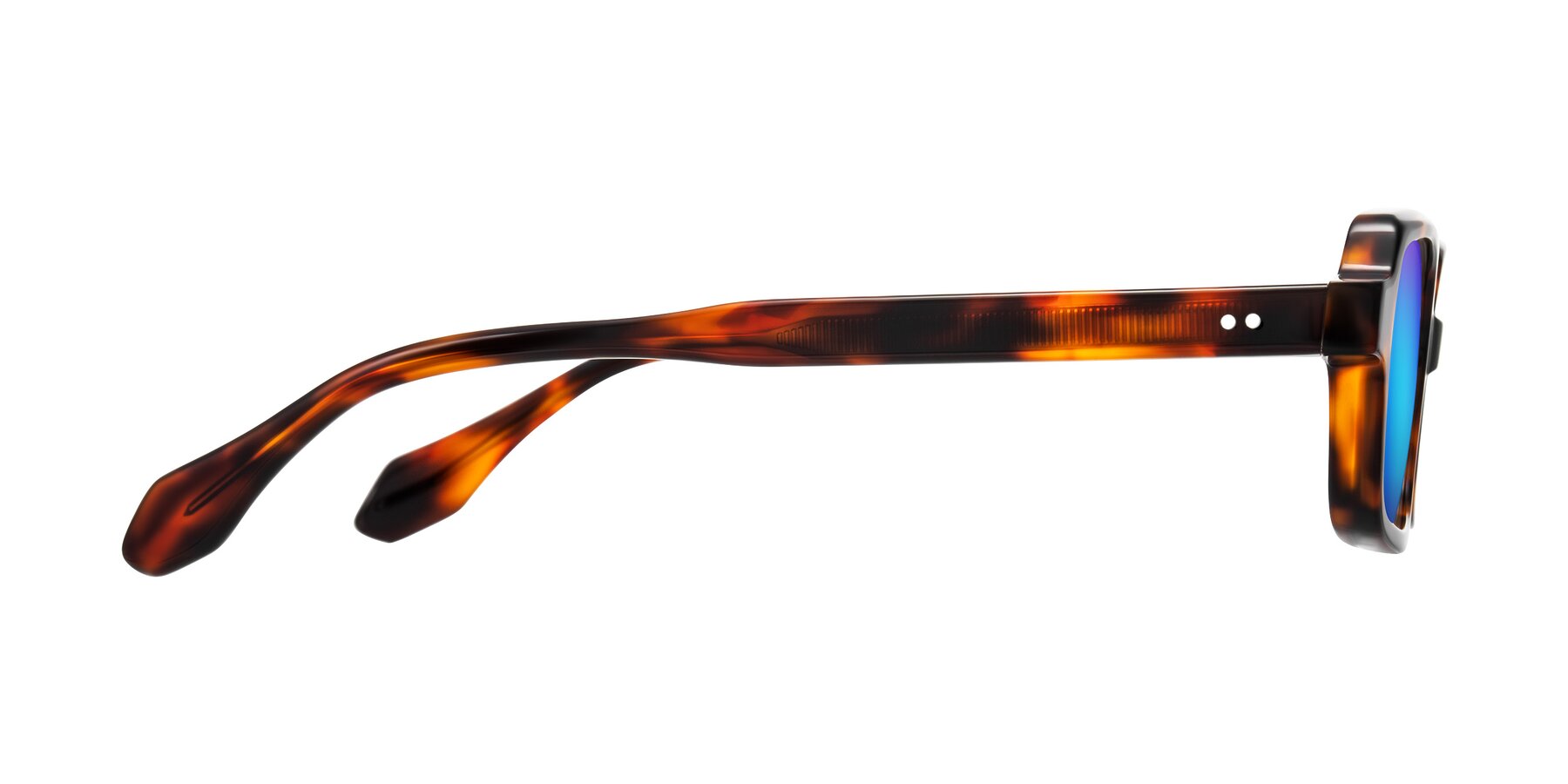Side of Perkis in Tortoise with Blue Mirrored Lenses